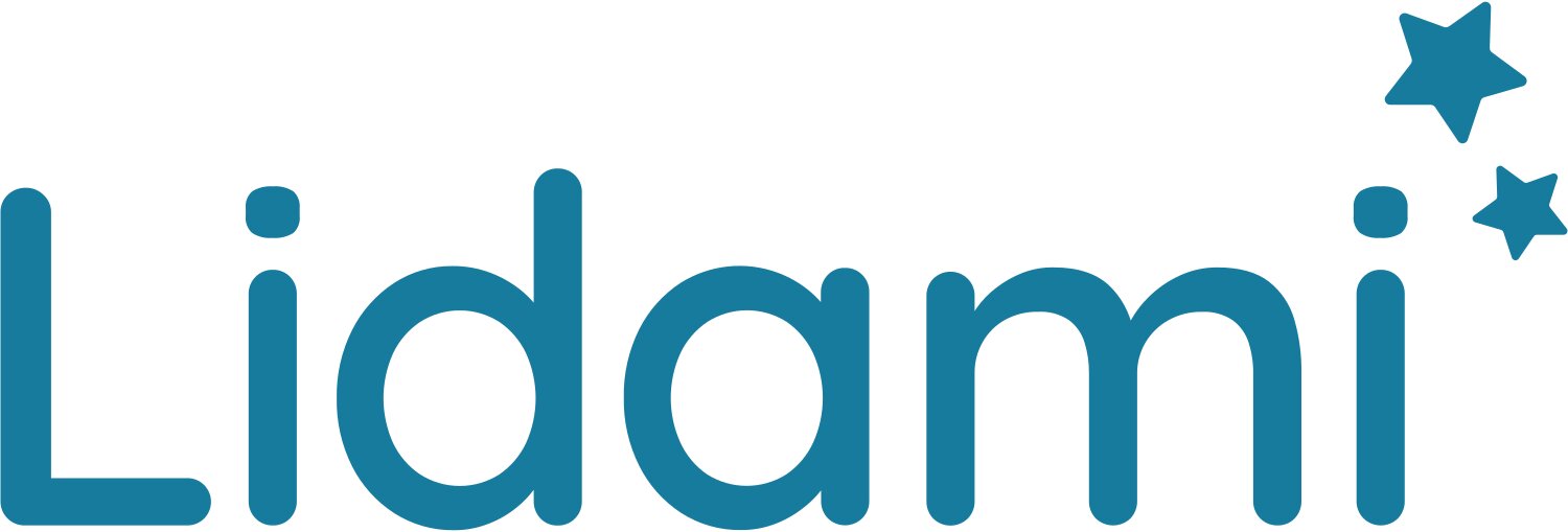 LIDAMI logo