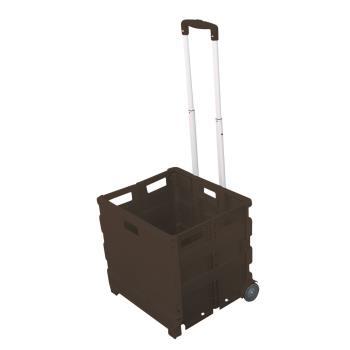 Porte-tout pliable Pack & Roll