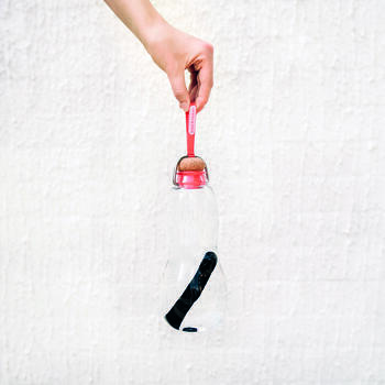 Charbon actif Binchotan