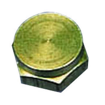 Bouchon filetage 20/150