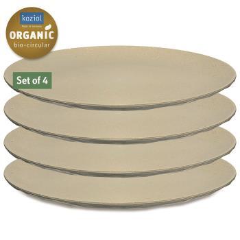 Lot de 4 assiettes plates CLUB