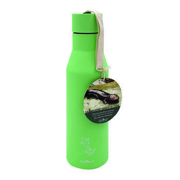 Bouteille isotherme : Verte