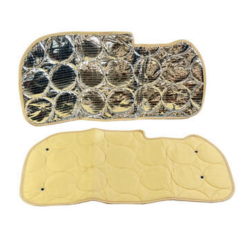 Protection isotherme vitres portes latérales