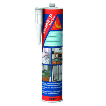 Mastic silicone