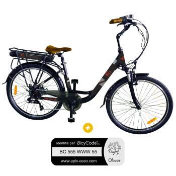 Vélo à assistance électrique pliant 20
