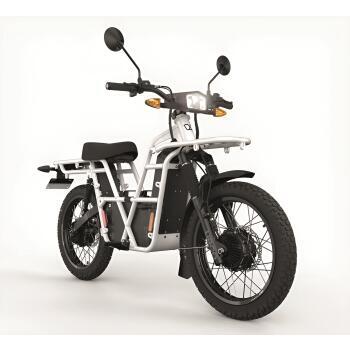 Cyclo électrique tout-terrain 2x2