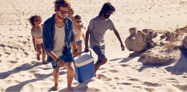 glaciere-thermoelectrique-ou-compression