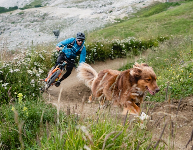 homme sur vélo électrique faisant du sport avec son chien