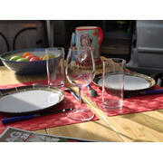 Lot de 6 verres à vin dégustation
