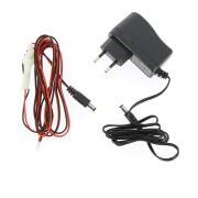 Amplificateur 12/24 Volts pour antenne