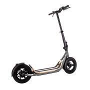 Trottinette électrique B12 : Roam Gris 624Wh