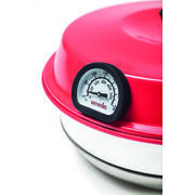 Thermomètre pour four