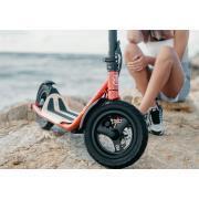 Trottinette électrique B12