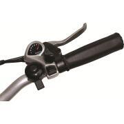 Vélo à assistance électrique pliant 20