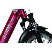Vélo à assistance électrique pliant 20