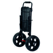 Chariot