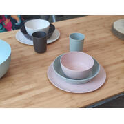 Lot de 4 assiettes plates