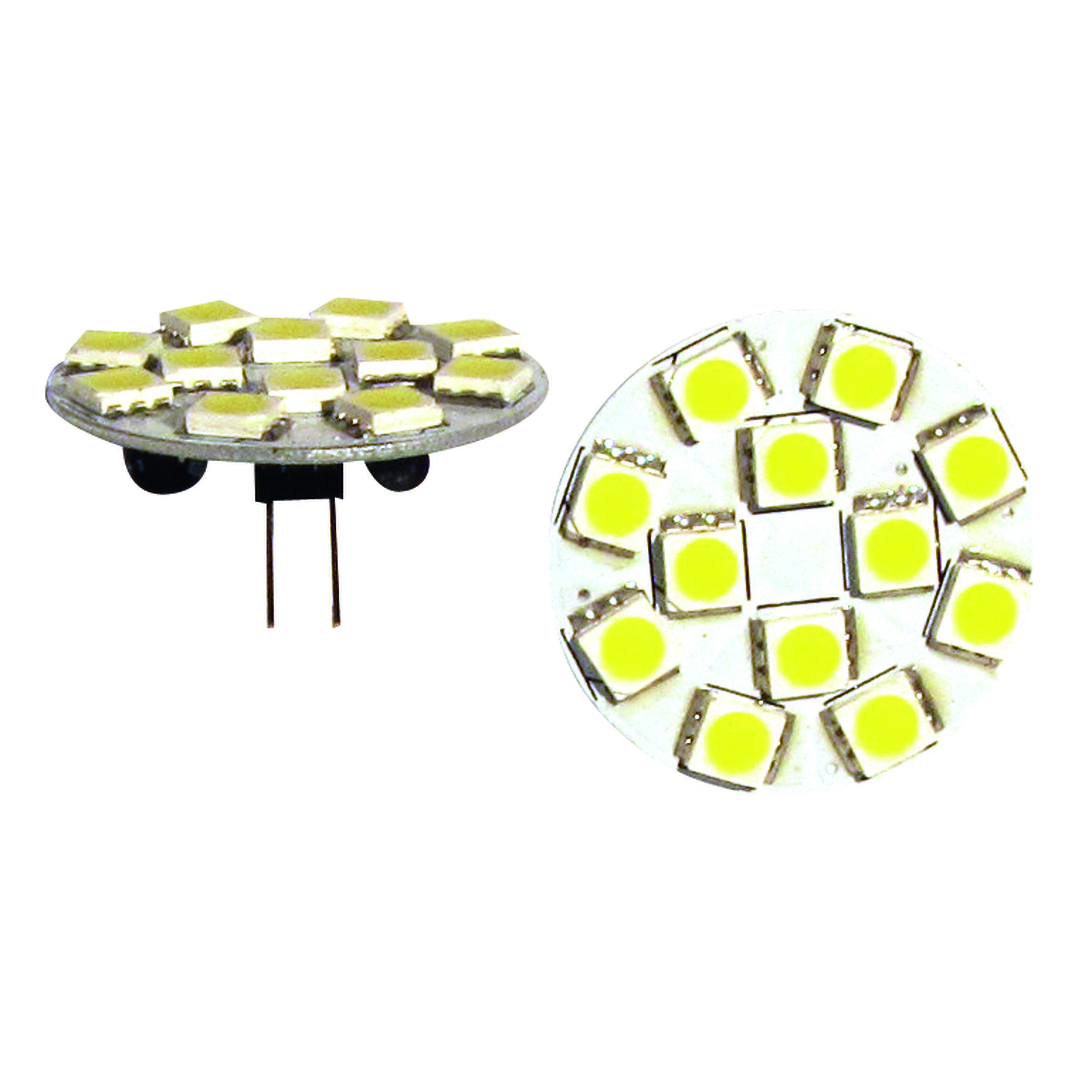 Module Led G4 SMD : 240 Lumens