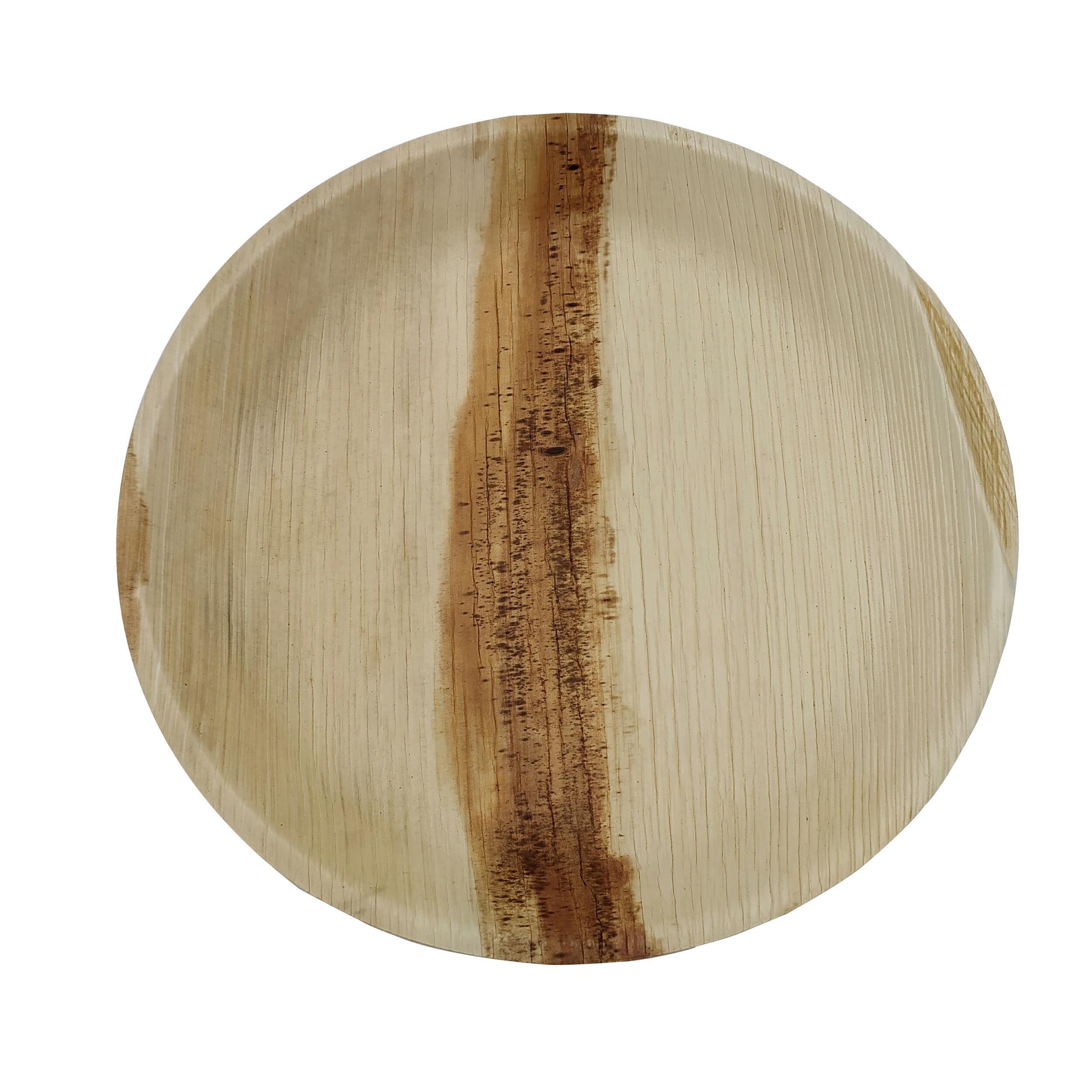 10 assiettes à dîner réutilisables