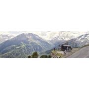 Store Omnistor 4200 : Longueur 2,6 m - Coloris : Mystic Gris avec boîtier blanc