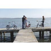 Vélo à assistance électrique pliant 20