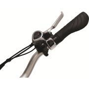 Vélo à assistance électrique pliant 20