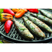 BBQ / Plancha 40