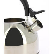 Bouilloire en acier inoxydable 2L