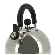 Bouilloire en acier inoxydable 2L