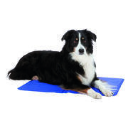 Matelas rafraîchissant pour chien