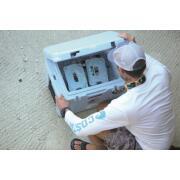 Pain de glace : Dimensions : L