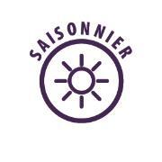 Auvent Octavia Air All Season