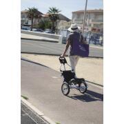 Caddie pour vélo électrique