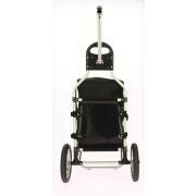 Caddie pour vélo électrique