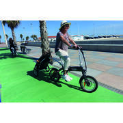 Caddie pour vélo électrique