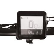 Vélo à assistance électrique pliant Jazzy