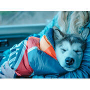 Couverture pour animaux Camp Vibes Two