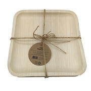 10 assiettes à dîner réutilisables