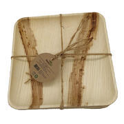 10 assiettes à dessert réutilisables