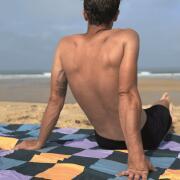 Couverture de pique-nique et de plage : Coloris Cheekers