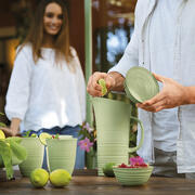 Carafe Tierra : Coloris Vert algue