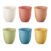 Lot de 6 gobelets bas Tierra