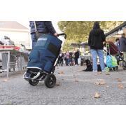 Chariot à roulettes 3 en 1