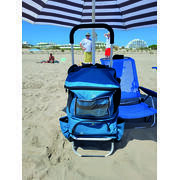 Chariot à roulettes 3 en 1