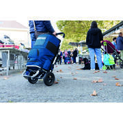 Chariot à roulettes 3 en 1