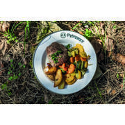 Lot de 2 assiettes en émail
