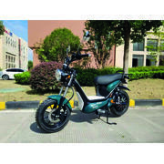 Scooter électrique équivalent 50cc E-Bonsaï : Vert émeraude