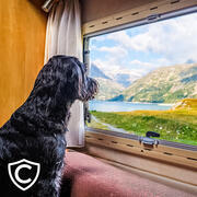 Extension PetSafe