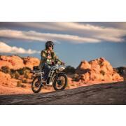 Cyclo électrique tout-terrain 2x2 : Blanc